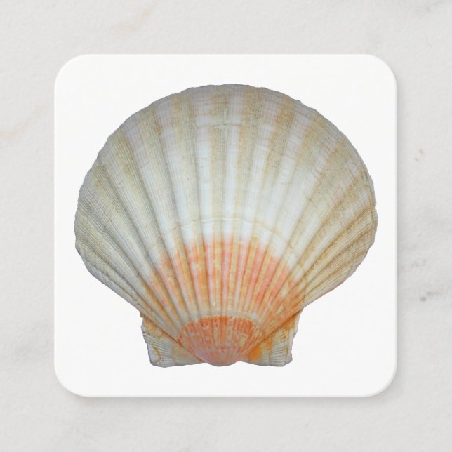 Clam Muschel Quadratische Visitenkarte (Vorderseite)