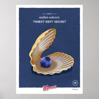 Clam Muschel WBB Poster