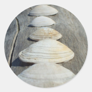 Clam Muscheln Stickers