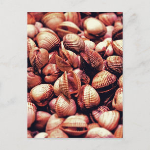 Clam Postkarte