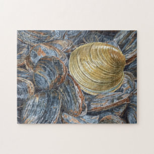 Clams and Quahog Muschel Puzzle