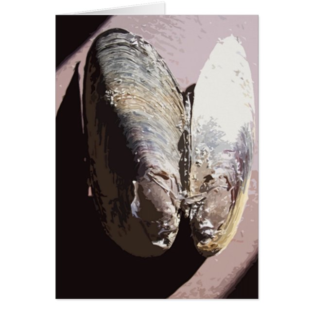 Clamshell Butterfly Art (Vorne)