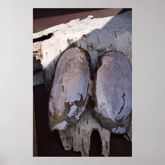 Clamshell Wings Poster (Vorne)