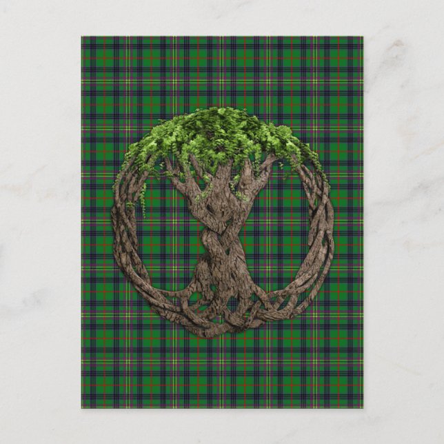 Clan Kennedy Tartan und keltischer Baum des Lebens Postkarte (Vorderseite)