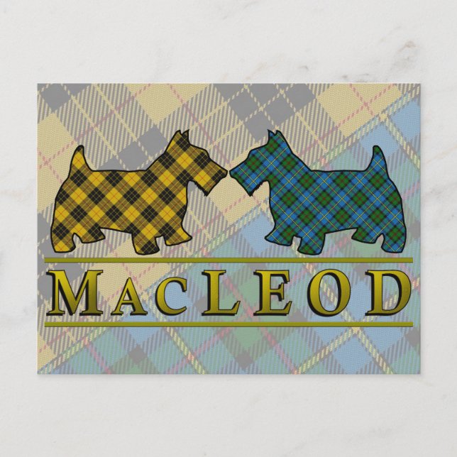Clan MacLeod Tartan Scottie Dogs Postkarte (Vorderseite)