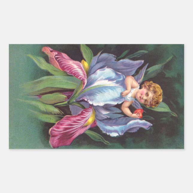 Clapsaddle: Blumen-Cherub Iris Rechteckiger Aufkleber (Vorderseite)