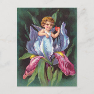 Clapsaddle: Blumencherub Iris Postkarte