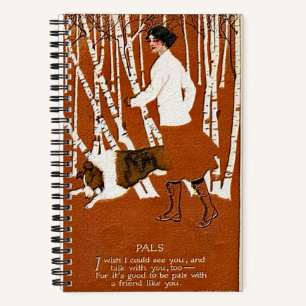 Clarence Coles Phillips 1880-1927 Notizbuch