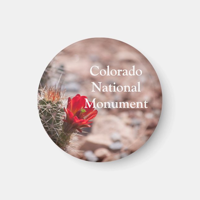 Claret Cup Cactus in Colorado Magnet (Vorne)