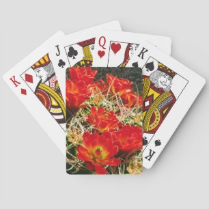 Claret Cup Cactus Wildblumen Spielkarten