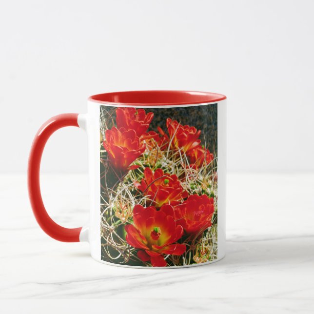 Claret Cup Cactus Wildblumen Tasse (Links)