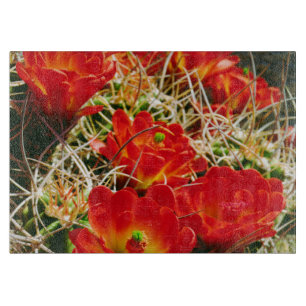 Claret Cup Kaktus Wildblumen Schneidebrett
