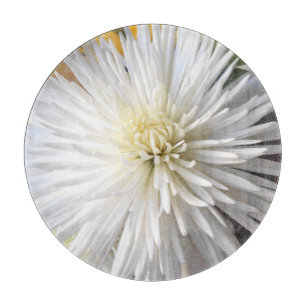 Claricia Schneidebrett