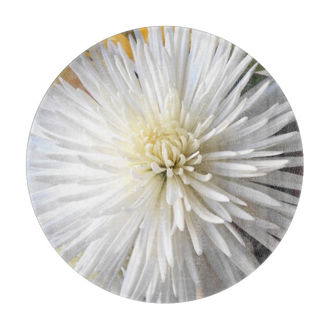 Claricia Schneidebrett (Vorderseite)