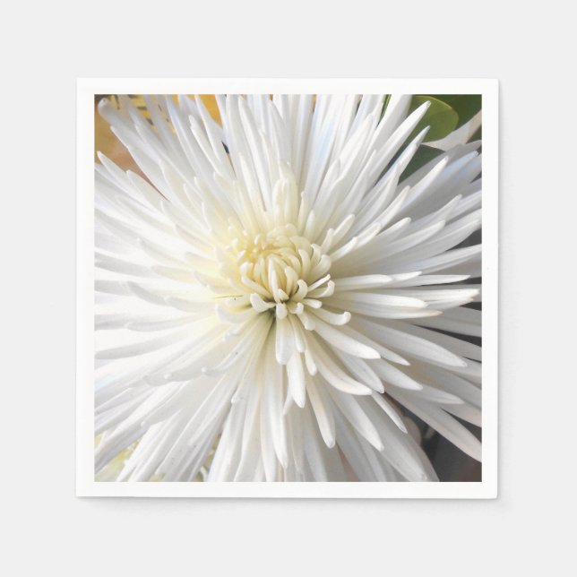 Claricia Serviette (Vorderseite)