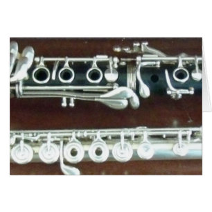 Clarinet-und Flöten-Duo