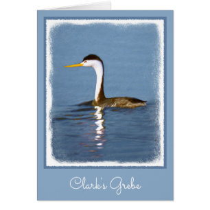 Clark's Grebe Painting - Art original pour les ois