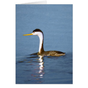 Clark's Grebe Painting - Art original pour les ois