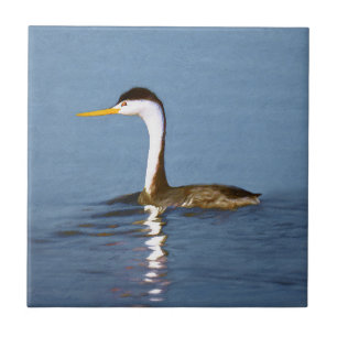 Clark's Grebe Painting - Original Bird Art Fliese