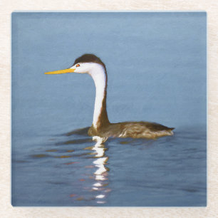 Clark's Grebe Painting - Original Bird Art Glasuntersetzer