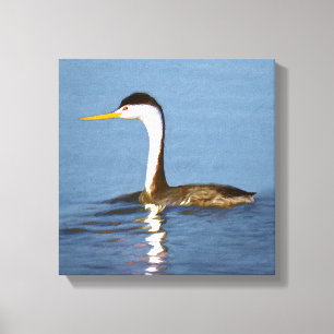 Clark's Grebe Painting - Original Bird Art Leinwanddruck