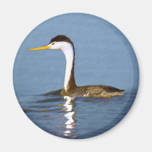 Clark's Grebe Painting - Original Bird Art Magnet