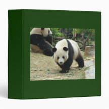 Panda géant