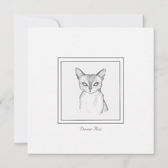 Classic Devon Rex Cat Chalk Zeichn Note Card Mitteilungskarte (Vorderseite)