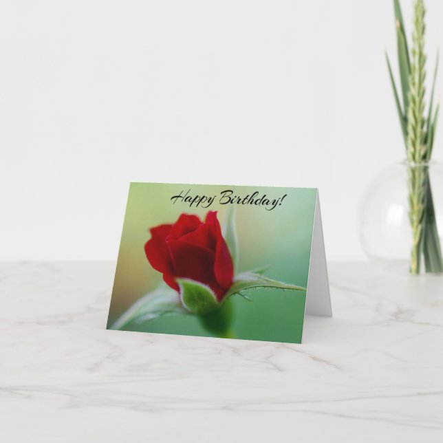 Classic Elegance Rote Rose Geburtstagskarte Karte (Vorderseite)