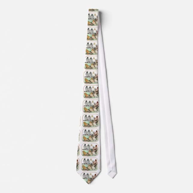 Classic Frill Pigeons Blondinettes Krawatte (Vorderseite)
