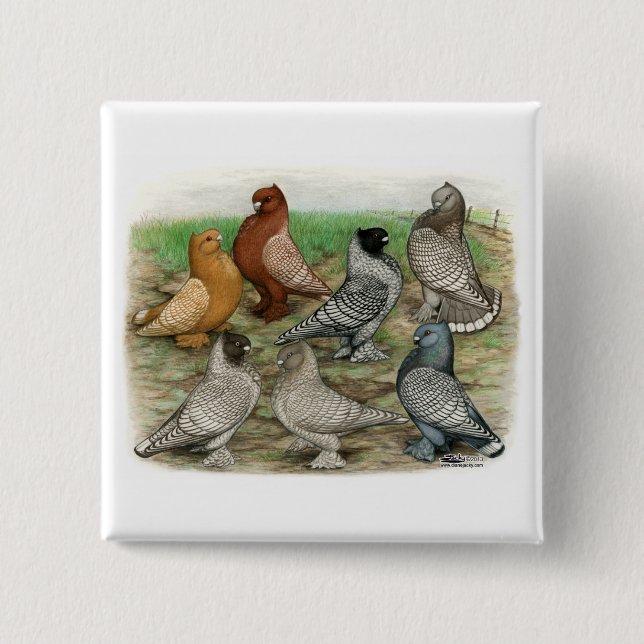 Classic Frill Pigeons Laced Blondinettes Button (Vorderseite)