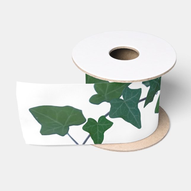 Classic Green English Ivy Satinband (Spule)