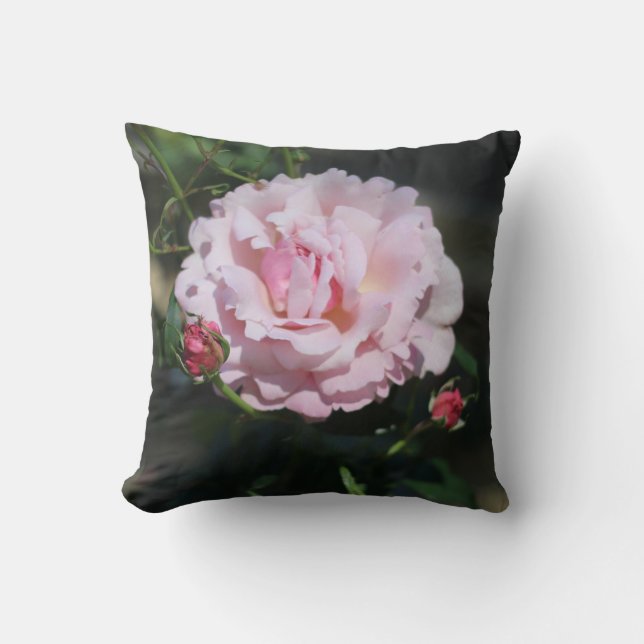 Classic Pink Rose Schöne Naturfotografie Kissen (Vorderseite)
