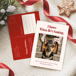Classic Playful Funny Dog Pet Photo Christmas Feiertagspostkarte