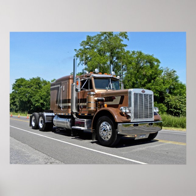 Classic Tan 359 Poster (Vorne)