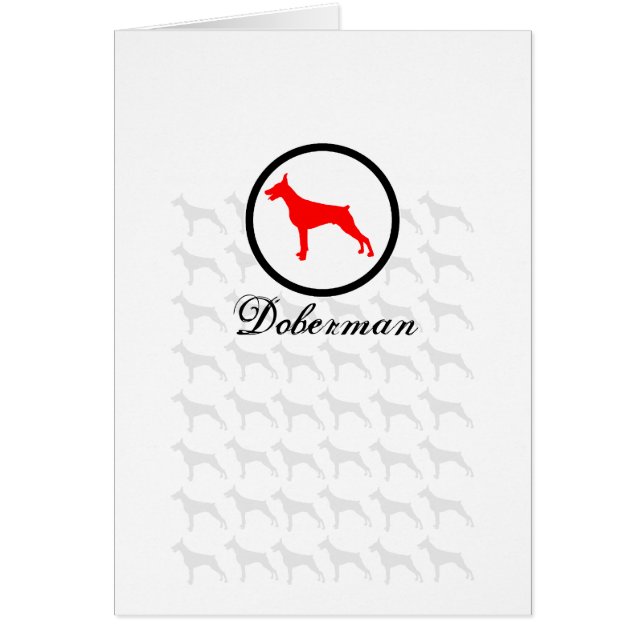 Classiques doberman (Devant)