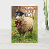 Classy Sheep Abschluss