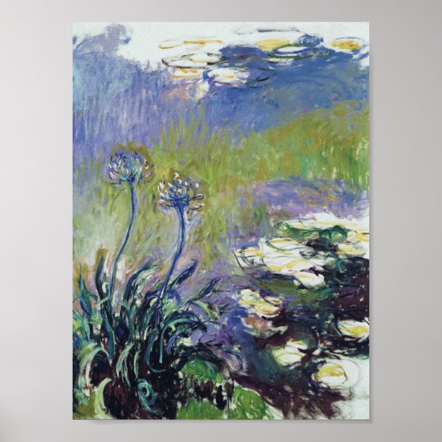 Claude Monet - Agapanthus, Poster (Vorne)