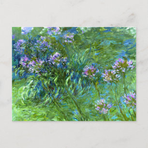 Claude Monet: Agapanthus Postkarte