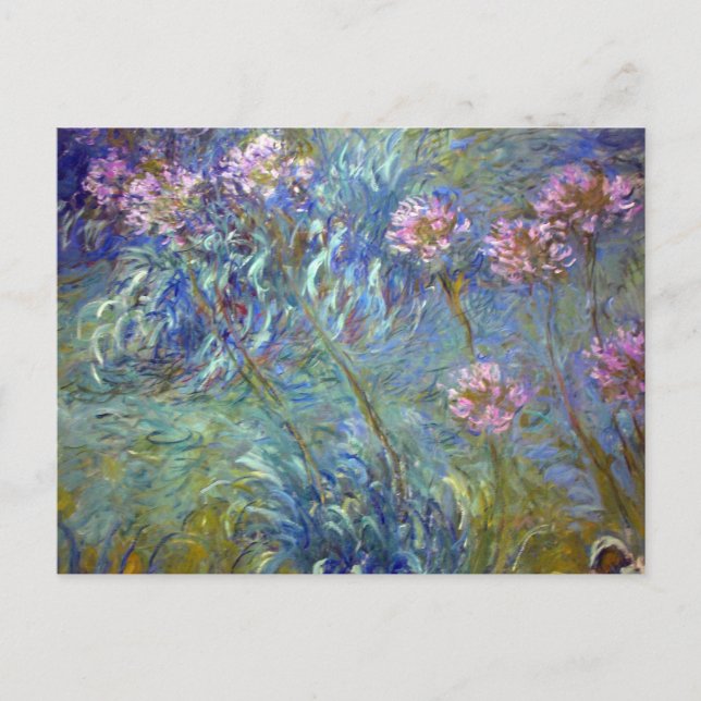 Claude Monet Agapanthus Postkarte (Vorderseite)