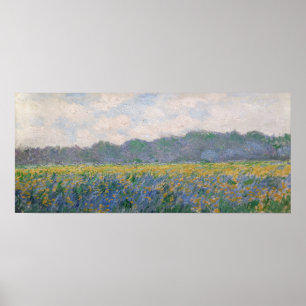 Claude Monet - Feld mit gelben Schwertlilien in Gi Poster