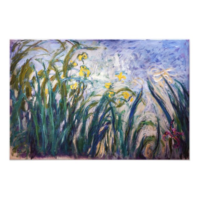 Claude Monet - Gelbe und Lila Irische Fotodruck (Vorne)