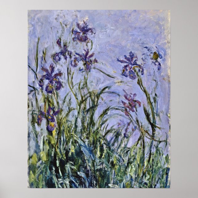 Claude Monet - Iris Mauves Poster (Vorne)