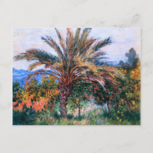 Claude Monet: Palme in Bordighera Postkarte