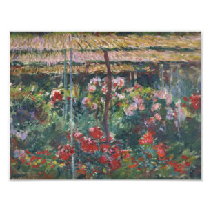 Claude Monet - Peony Garden Fotodruck