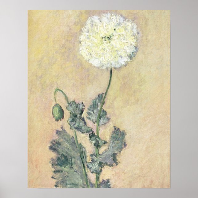 Claude Monet | Weißer Mohn, 1883 Poster (Vorne)