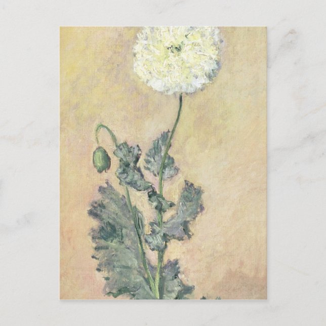 Claude Monet | Weißer Mohn, 1883 Postkarte (Vorderseite)