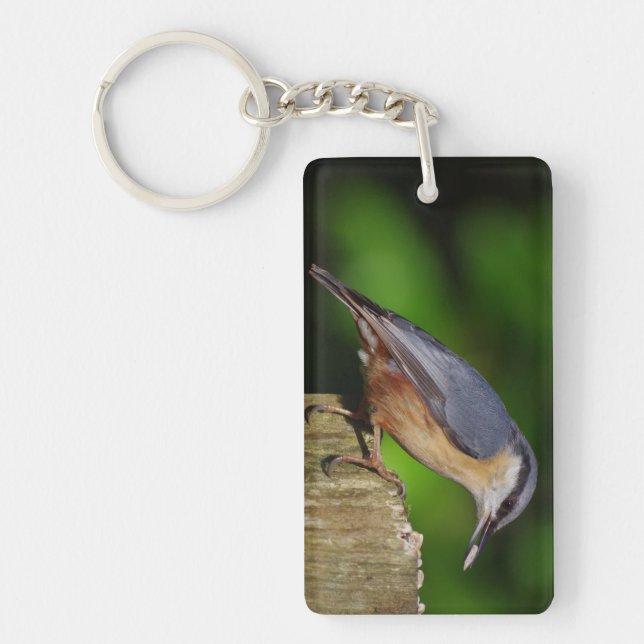 Clavier Nuthatch (Devant)