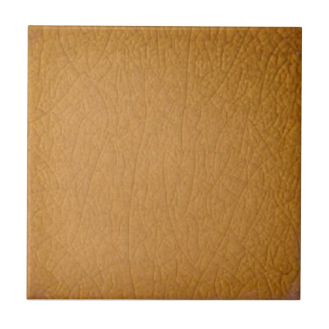 Clay-farbene antike Repro-Imitate Schnackel-Finish Fliese (Vorderseite)