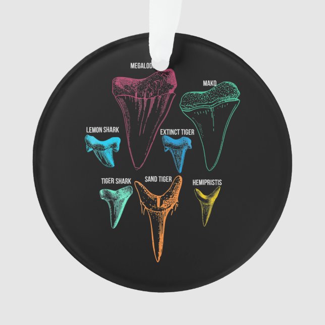 Clé d'identité de la chasse aux dents de requin (devant)